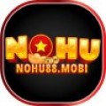 Nohu88 Bet