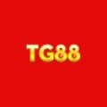 Tg88i name