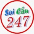 Soi cau 247