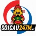 Soi cau 247 M