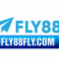 Fly88fly com