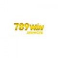 789Win  Services