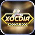 Xocdia boo