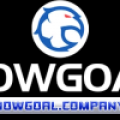 Nowgoal Company