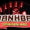 Đnh Bi Pro