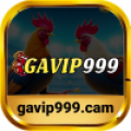 Nh� C�i Gavip999
