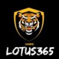 Lotus  365 betting