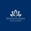 White Flower  Developers