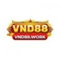 VND88 work